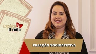 Explica Direito Filiação Socioafetiva  2019 [upl. by Andromede]