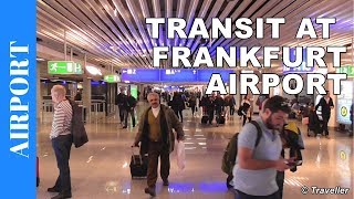 TRANSIT WALK AT FRANKFURT Airport FRA Terminal 1  Connection Flight Transfer Arriving amp Departing [upl. by Attezi]